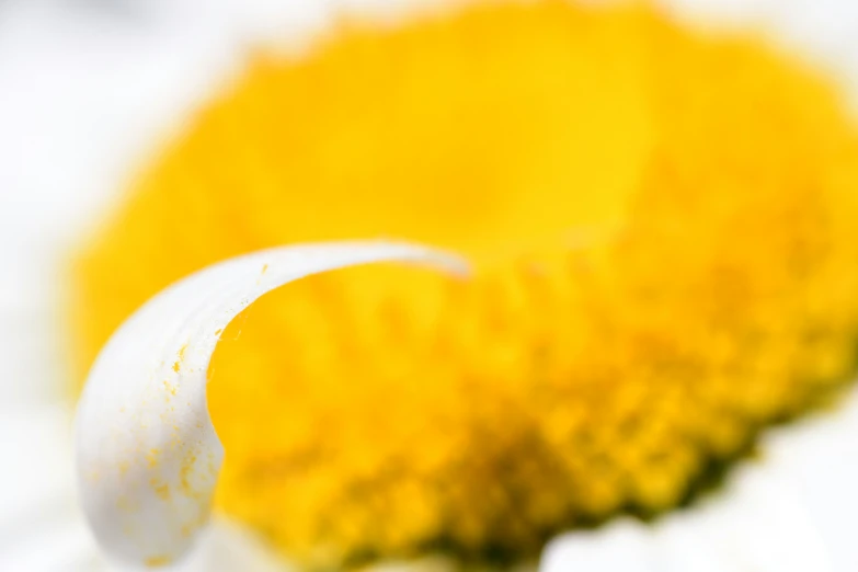 an upside down picture of a yellow and white flower