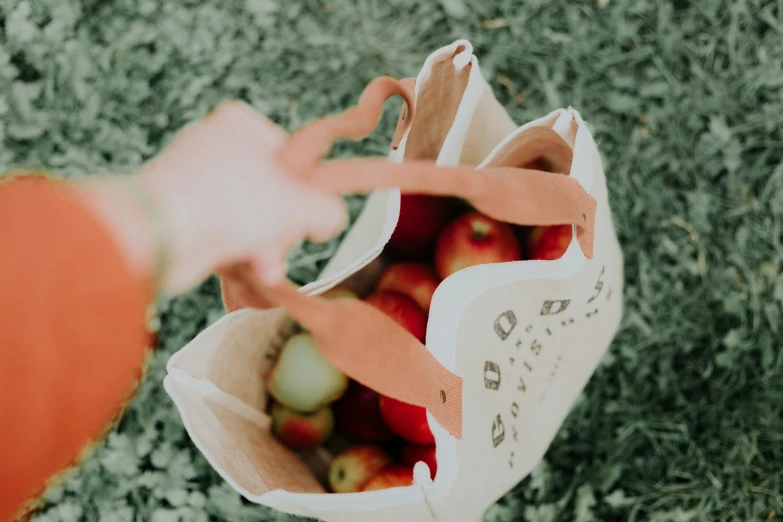 a close up of a bag of apples in the grass