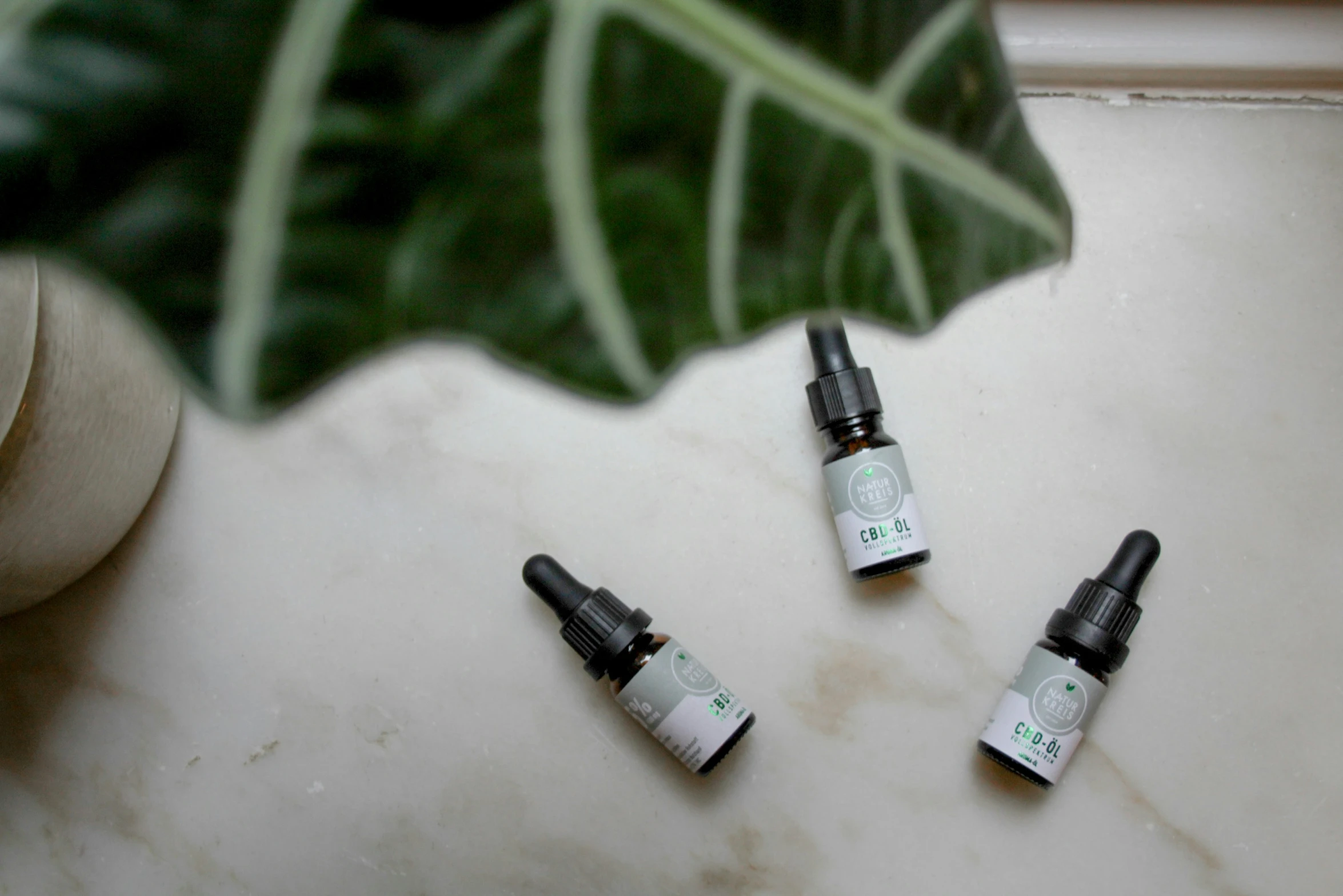 three bottles of essential oils sitting next to a large leaf