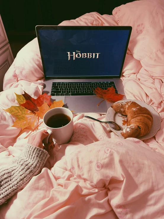 a computer screen and some food sitting on a bed