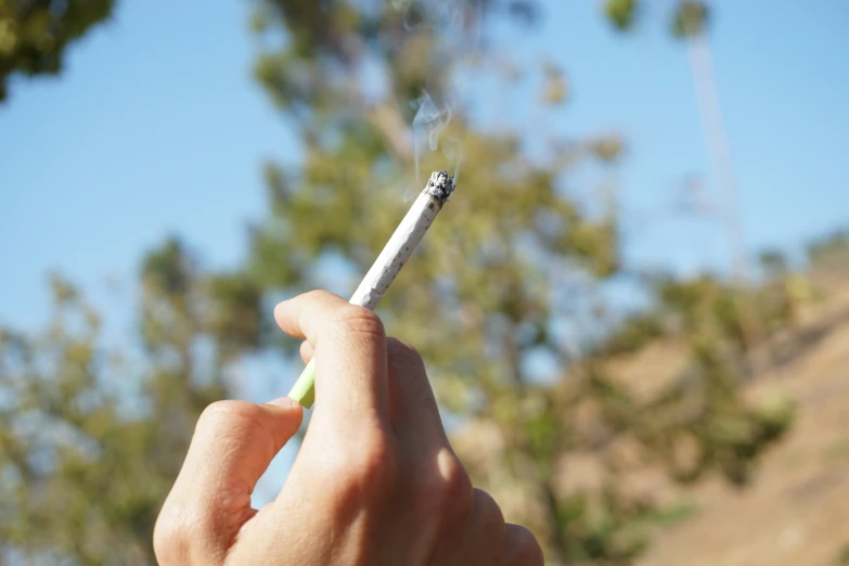 a person smoking a cigarette with trees in the background