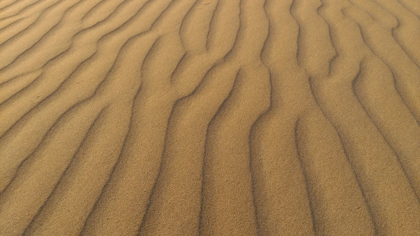 a sandy field with wavy lines on it