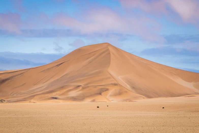 some animals stand by itself in the middle of a desert