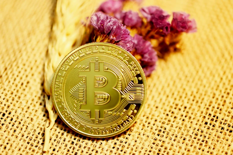 an image of a bitcoin on top of a piece of cloth
