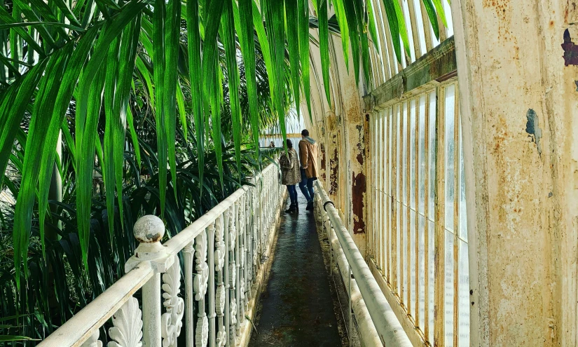 two people walking on a bridge by a green tree