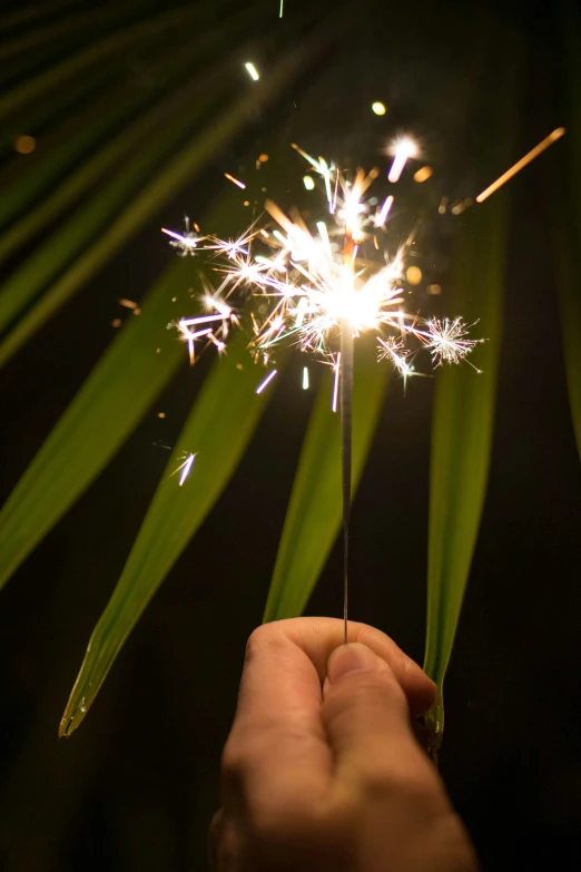 someone is holding a sparkler next to a palm leaf