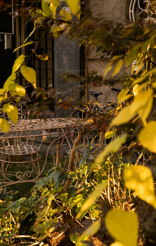 an outdoor table and chairs in a garden