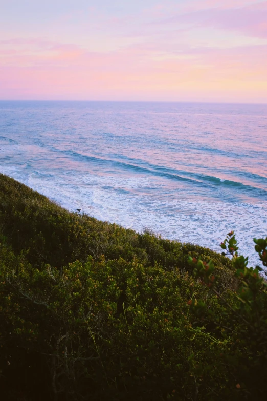 an ocean with blue waves next to plants