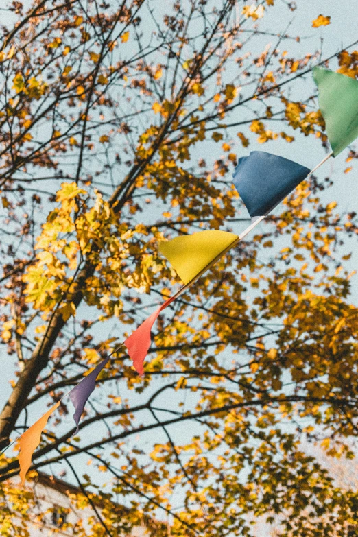 an assortment of colorful kites attached to a tree