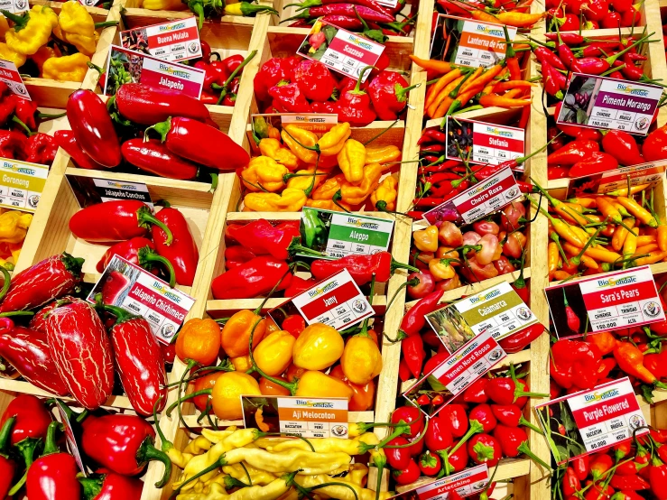 a table full of boxes of different types of fruits and vegetables