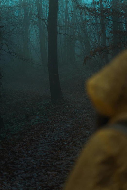 person walking in the forest with a blurry background