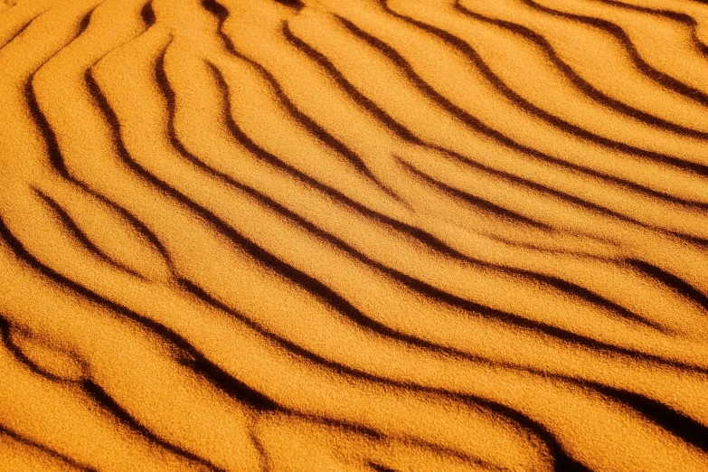 this is a po of a sand dune at night