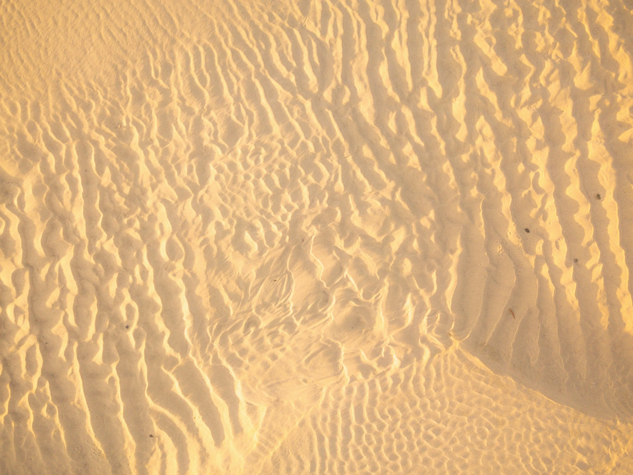 this sand dune has been drawn very closely to create a pattern