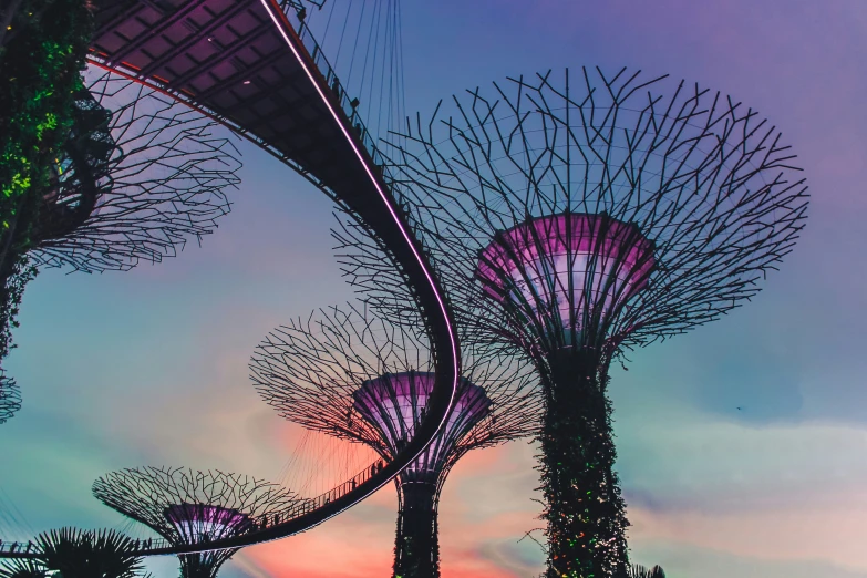 purple and red lights reflect off the trees of this urban park