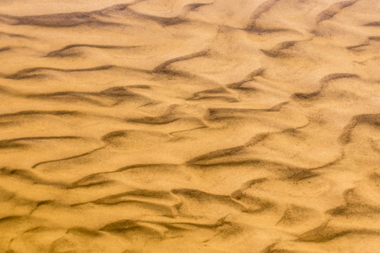 the sand and grass in the area is soft