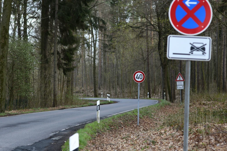 street signs are next to the roadway of a forest