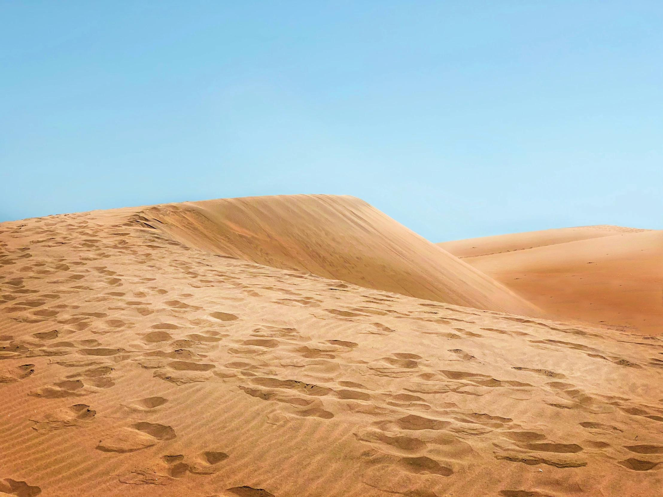 a white train traveling along a sandy desert