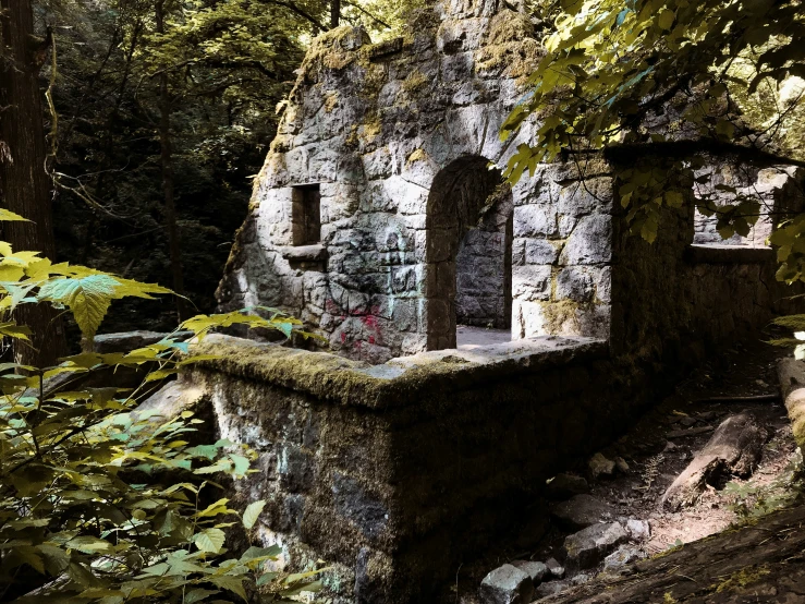 an abandoned building sits in a forest with leaves around it