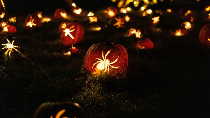 a field covered in glowing lights with pumpkins shaped like spideres