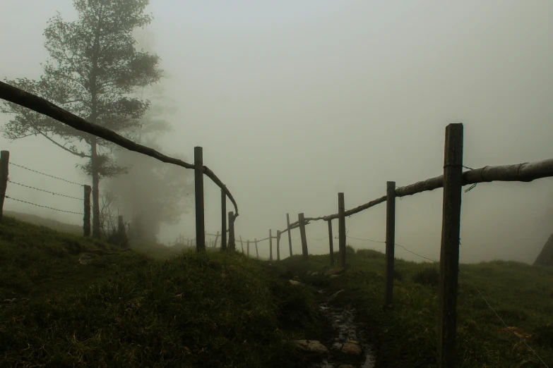 a fenced in grassy area that is covered by fog