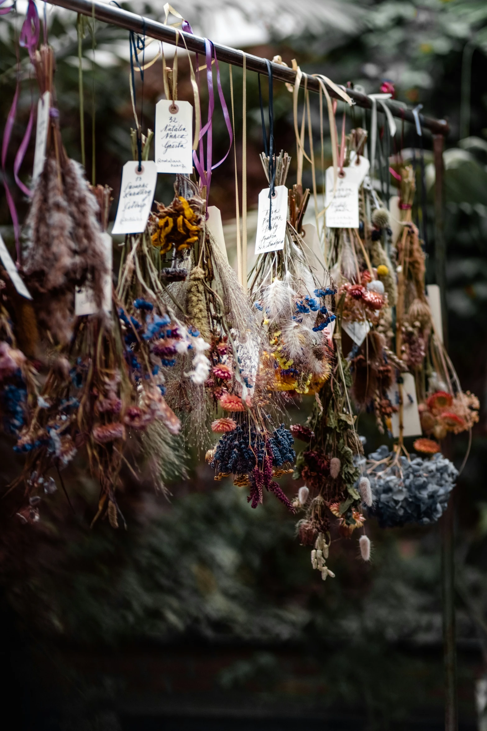 a group of dried up flowers are on a rod