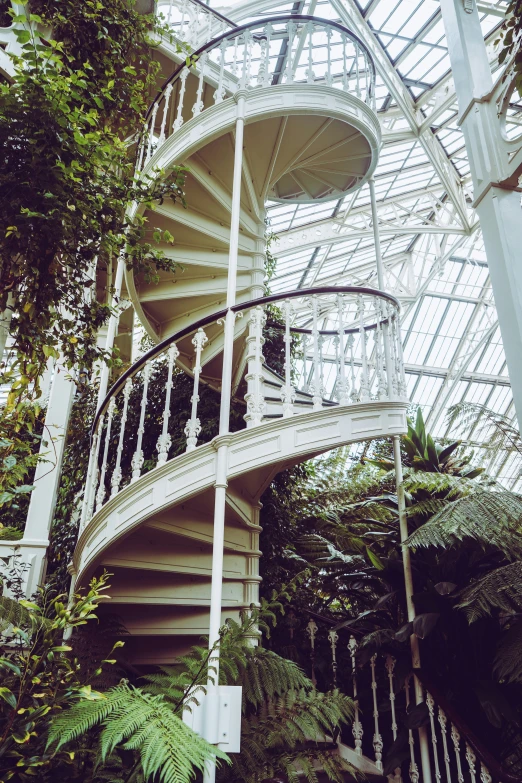 the spiral staircase inside a tall glass house