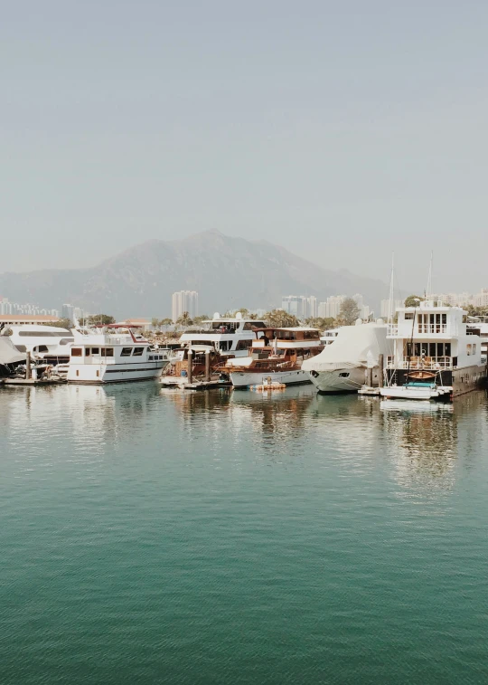 several small white boats in the harbor