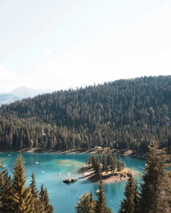 a lake surrounded by pine trees with an island in the distance