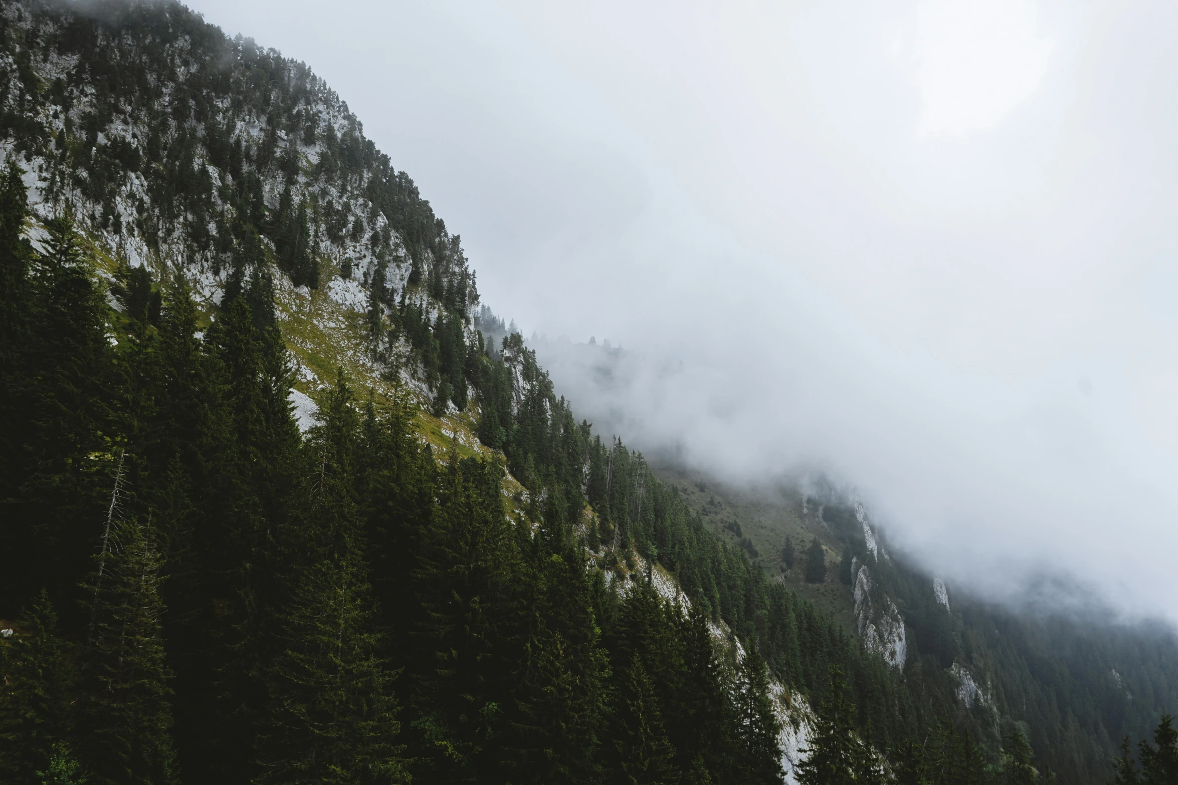 a hill with trees covered in snow and clouds