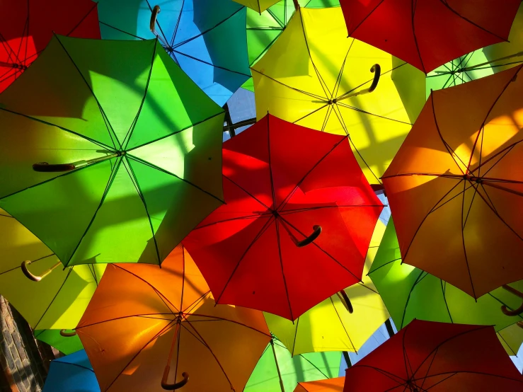 colorful umbrellas with shadow over a tree