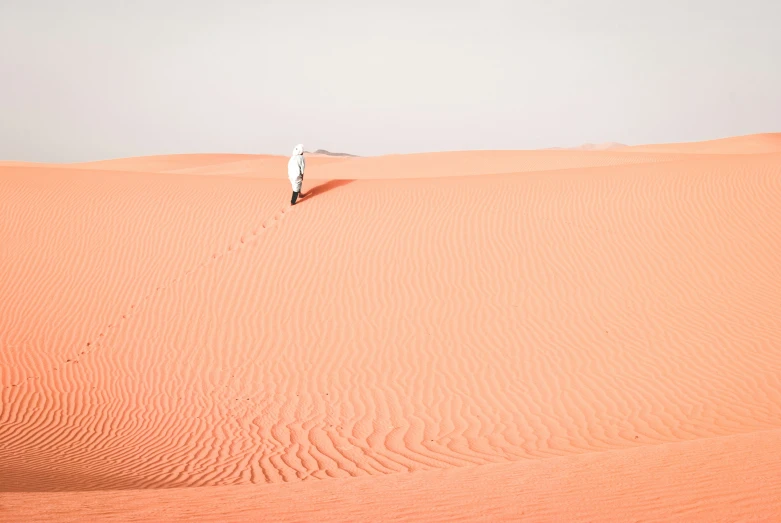 a lone bird sitting on the top of a desert