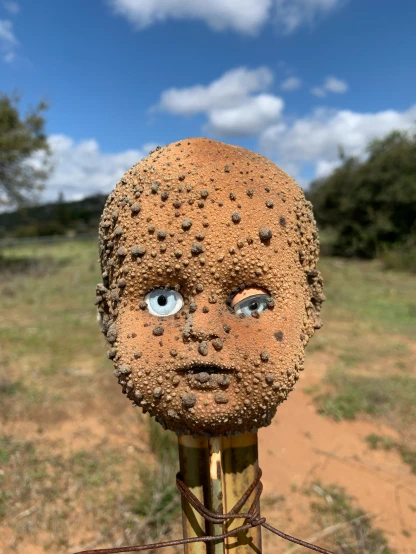 the head of a sculpture, with eyes and nails on it, has been placed between two poles