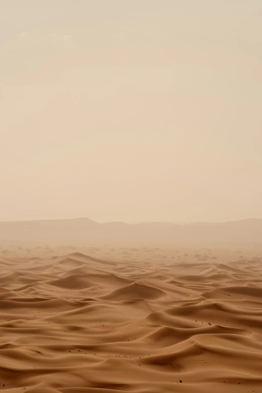 the lone airplane is flying over the desert sand