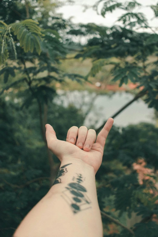 person's arm holding up their hand with a tree in the background