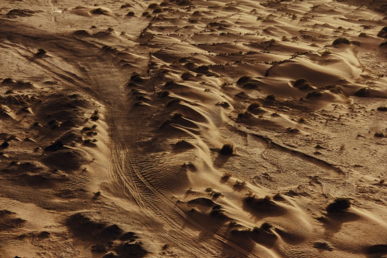 the tracks in the sand are like wheels