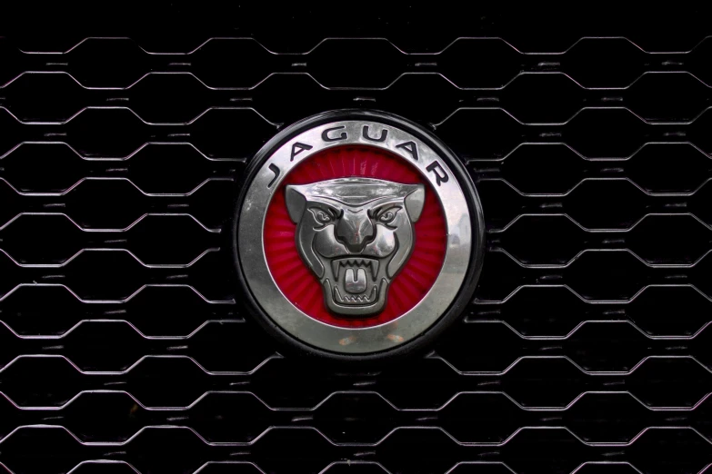 the jaguar emblem on a shiny car grill