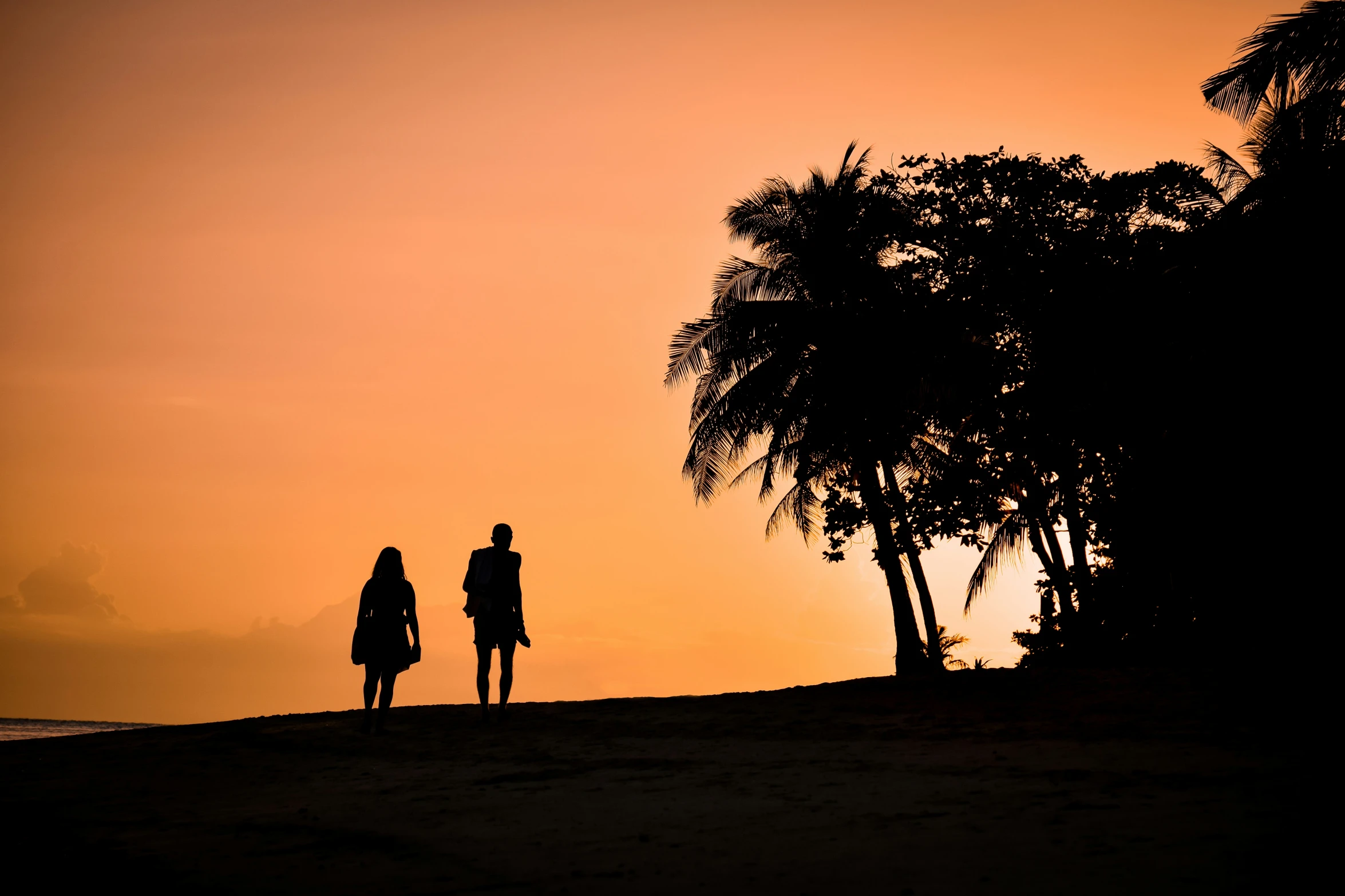 a couple silhouetted against an orange sky by some trees