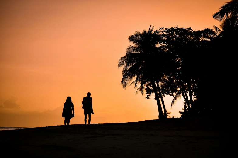 a couple silhouetted against an orange sky by some trees