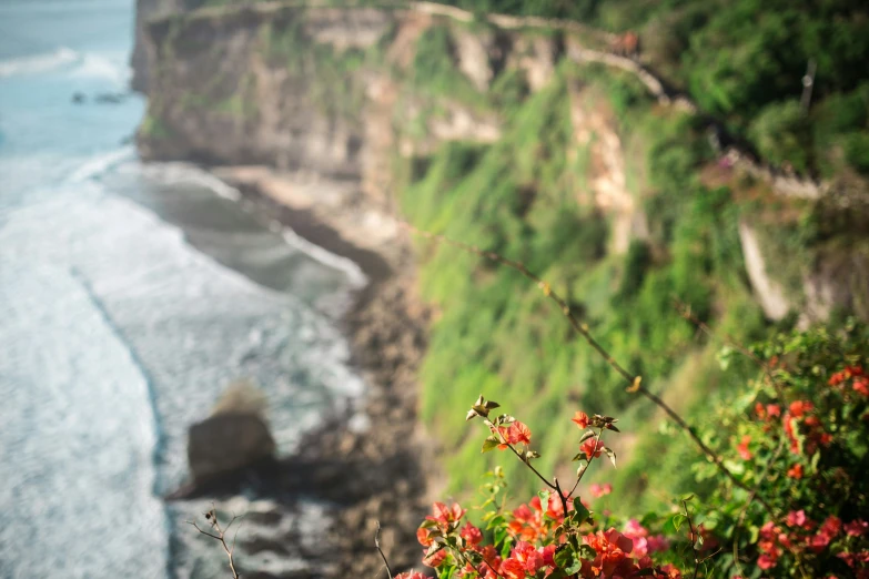 a road runs along the coast near the beach