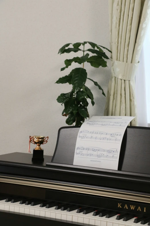 a piano is next to a potted plant