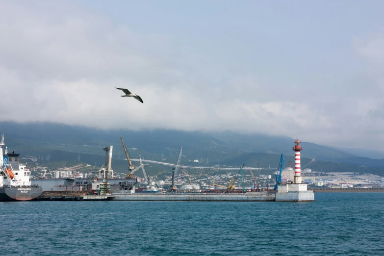 the sea gull is flying next to the ship