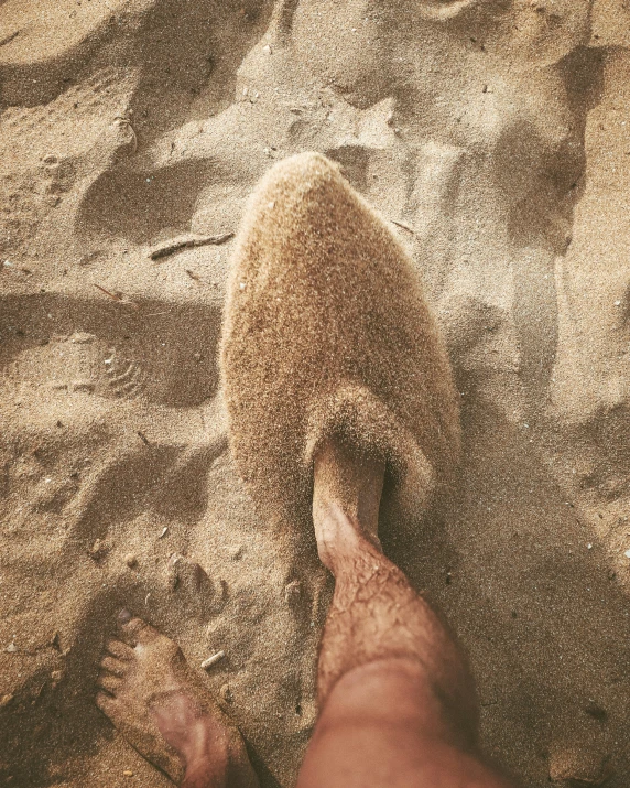 a man's feet and a animal paw on sand