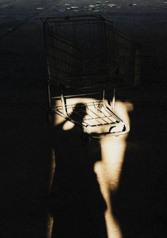 a shadows po of someone standing next to a chair