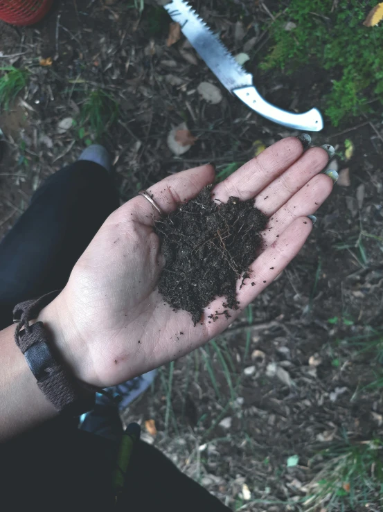 hand holding out dirt to a pair of knives