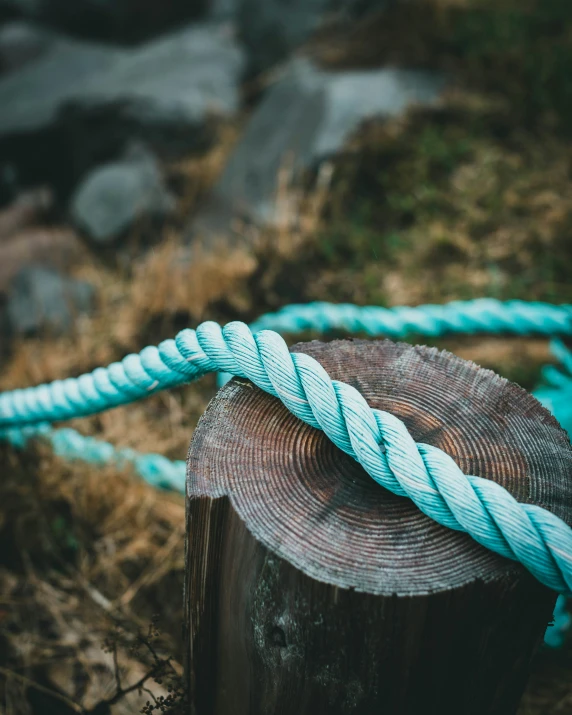 a close up of a log with a rope