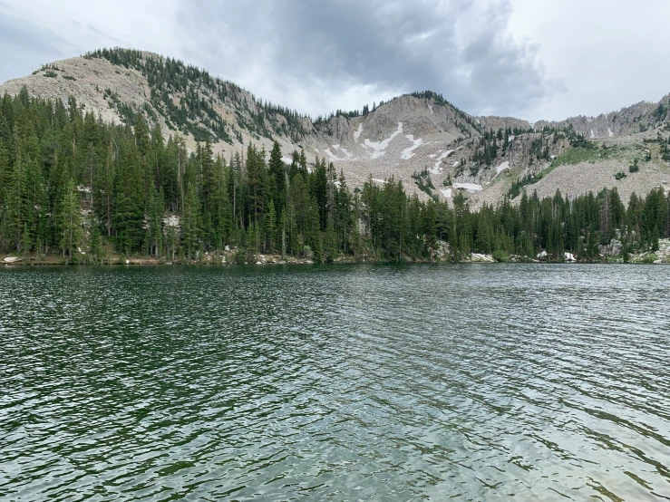 a large body of water near a forest