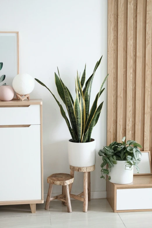 two planters, a cabinet, and a desk with plants in them