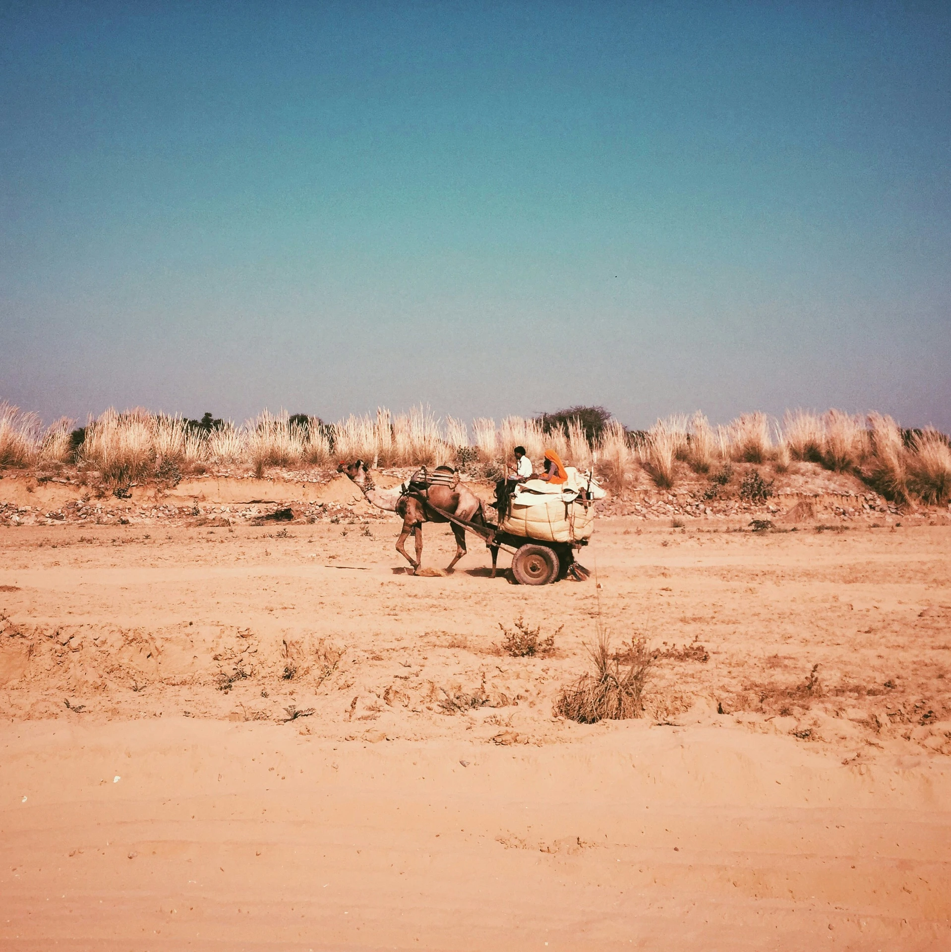 people on a cart in the desert
