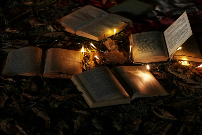 open books spread out and lit by lights