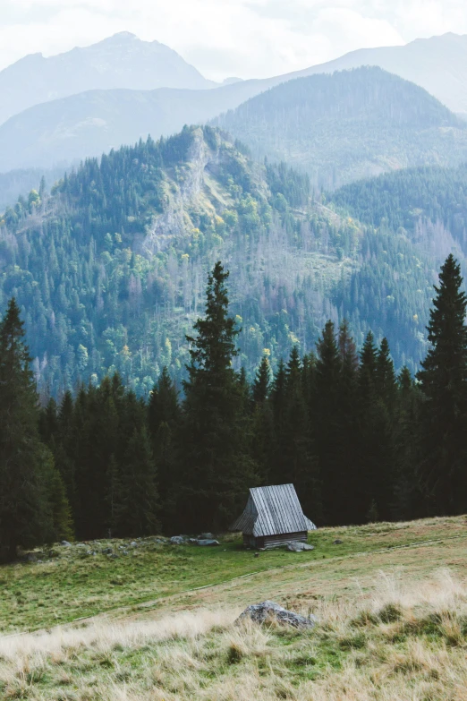 a cabin in a field with mountains and a forest in the background